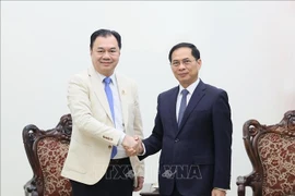 Deputy Prime Minister Bui Thanh Son receives Kounlaphanh Vongnathy, Vice President of Phongsupthavy Group, in Hanoi on December 12, 2025. (Photo: VNA)