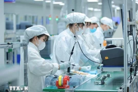 Production at the 100% Korean-invested Bumjin Electronics Vina Co. Ltd. (Photo: VNA) 