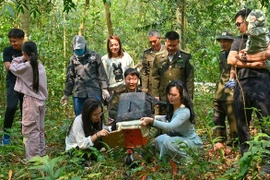 Wild animals are released back into their natural habitat. (Photo: Courtesy of Department of Forestry and Forest Protection)