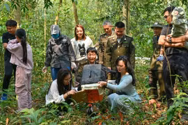 Wild animals are released back into their natural habitat. (Photo: Courtesy of Department of Forestry and Forest Protection)