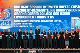 ASEAN environment ministers and Ambassador André Aranha Corrêa do Lago, President-designate of the 30th United Nations Climate Change Conference (COP30), pose for a photo (Photo: VNA)