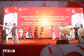 A performance at the Vietnamese traditional arts showcase in Singapore. (Photo: VNA)