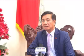 Vietnamese Ambassador to Malaysia Dinh Ngoc Linh (Photo: VNA)