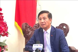 Vietnamese Ambassador to Malaysia Dinh Ngoc Linh (Photo: VNA)