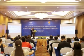 An overview of the workshop (Photo: VNA)