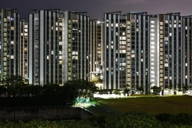 Singapore seeks 'renewable fuel', nuclear ties 