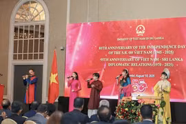 A performance at the event (Photo: phapluat.tuoitrethudo.vn)