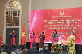 A performance at the event (Photo: phapluat.tuoitrethudo.vn)