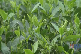 Circular agriculture linked with rural experiential tourism