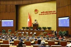 The resplution on special mechanisms and policies for investment in the Ninh Thuan nuclear power project ứa approved by the National Assembly on February 19, 2025 (Photo: VNA)