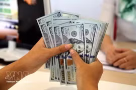 The daily reference exchange rate is set at 25,380 VND/USD on August 4. (Photo: VNA)