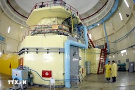 A nuclear reactor at the DaLat Nuclear Research Institute (Photo: VNA)