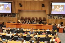 This year’s session brings together representatives from nearly 200 UN member states and observers, dozens of international organisations, and more than 200 non-governmental organisations. (Photo: VNA)