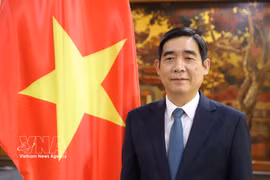 Vietnamese Ambassador to Thailand Pham Viet Hung (Photo: VNA)