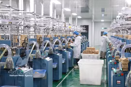 Production activities at FDI enterprises in Tay Ninh province help boost exports, create jobs, and enhance the locality's role in the regional supply chain. (Photo: VNA)