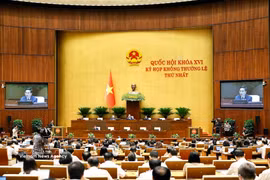 A plenary sitting of the 16th NA's first extraordinary session (Photo: VNA)