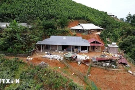 Illustrative image (Photo: VNA)