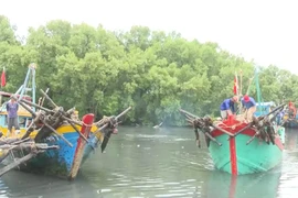 Dong Thap has completed registration for its fleet of 1,505 fishing vessels. (Illustrative photo: VNA)