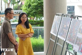 Visitors at the exhibition (Photo published by VNA)