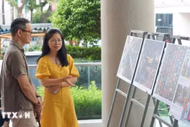 Visitors at the exhibition (Photo published by VNA)
