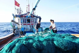 The Coast Guard Region 3 Command launches a peak campaign to strengthen patrols, inspections, and law enforcement to combat illegal, unreported, and unregulated (IUU) fishing. (Photo: VGP)