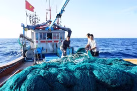 The Coast Guard Region 3 Command launches a peak campaign to strengthen patrols, inspections, and law enforcement to combat illegal, unreported, and unregulated (IUU) fishing. (Photo: VGP)