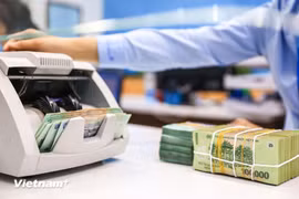 The State Bank of Vietnam sets the daily reference exchange at 25,291 VND/USD on August 25. (Photo: VNA)