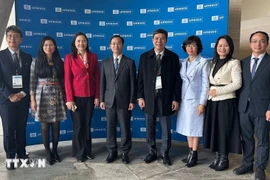 The Vietnamese delegation to the 222nd session of the Executive Council of the United Nations Educational, Scientific and Cultural Organisation (UNESCO). (Photo: VNA) 