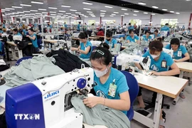 Vietnam mainly exports coffee, cashew nuts, peppercorns, seafood, chemicals, footwear, garments, and steel to Algeria. (Photo: VNA)