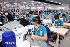 Vietnam mainly exports coffee, cashew nuts, peppercorns, seafood, chemicals, footwear, garments, and steel to Algeria. (Photo: VNA)