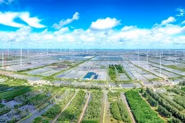 A wind power farm in Bac Lieu province. (Photo: VNA)