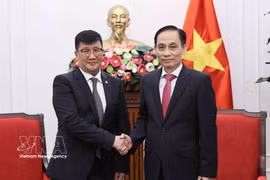 Minister of Foreign Affairs Le Hoai Trung (R) and outgoing Mongolian Ambassador Jigjee Sereejav. (Photo: VNA)