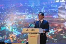 Deputy Prime Minister and Minister of Foreign Affairs Bui Thanh Son speaks at the event (Photo: VNA)