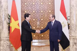 State President Luong Cuong (L) and Egyptian President Abdel Fattah El‑Sisi in Cairo on August 5. (Photo: VNA)