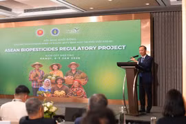 Nguyen Quang Hieu, Deputy Director of the Department of Crop Production and Plant Protection under the Ministry of Agriculture and Environment, speaks at the conference. (Photo: Daibieunhandan.vn)