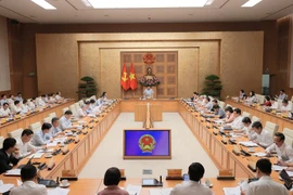 Deputy PM Nguyen Chi Dung speaks at a Government meeting on the role SOEs are to play in Vietnam's next development phase on June 16. (Photo: baochinhphu.vn)