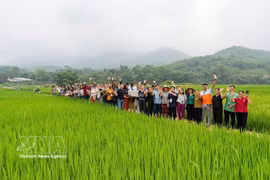 The caregivers’ club in Coc village, Pu Luong commune, the north-central province of Thanh Hoa, has established a livelihood support fund, helping households develop their economies through models such as rice cultivation, vegetable growing, fish farming and poultry raising. (Photo: VNA)