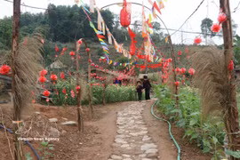 Spring in Bac Hoa village, Tan Son commune, Bac Ninh province. (Photo: VNA)