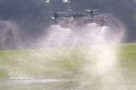 An unmanned aerial vehicle is used in rice cultivation in Vi Thanh 1 commune, Can Tho city. (Photo: VNA)