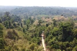 A view of the Dong Nai Cultural and Natural Reserve (Photo: VNA)