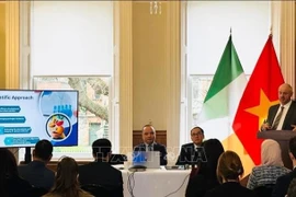 An Irish executive introduces green technology to Vietnam (Photo: VNA)