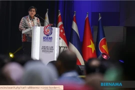 Malaysia’s Law and Institutional Reform Minister Azalina Othman Said speaks at the ASEAN Law Forum 2025. (Photo: Bernama)