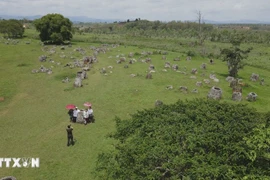Tourists visit the Plain of Jars in Xiengkhouang, Laos.(Photo: VNA)