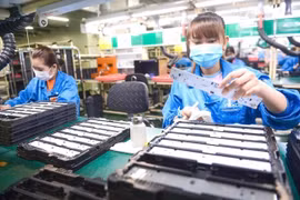 Workers at Vexos Company in Tan Thuan Export Processing Zone in HCM City (Photo: tuoitre.vn)