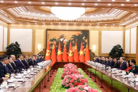 The talks between General Secretary of the Communist Party of China Central Committee and President of China Xi Jinping and his Vietnamese counterpart To Lam in Beijing on April 15, 2026. (Photo: VNA)