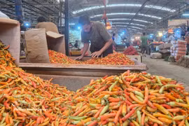 Chili peppers are on the list of essential goods in Indonesia (Photo: VNA)