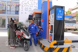 A gasoline station run by Petrolimex (Photo: VNA)