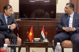 Vietnamese Ambassador to Egypt Nguyen Nam Duong (L) has a working session with Egypt’s Red Sea Governor Walid Al Barqi on July 11. (Photo: VNA)