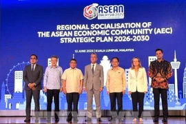 Through the ASEAN Economic Community Strategic Plan, ASEAN member countries aim to significantly enhance intra-regional trade by building greater resilience to external shocks and promoting the connectivity of the common market for goods, services and investment. (Photo: VNA)