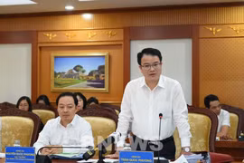 Deputy Minister of Finance Tran Quoc Phuong addresses the conference. (Photo: VNA)